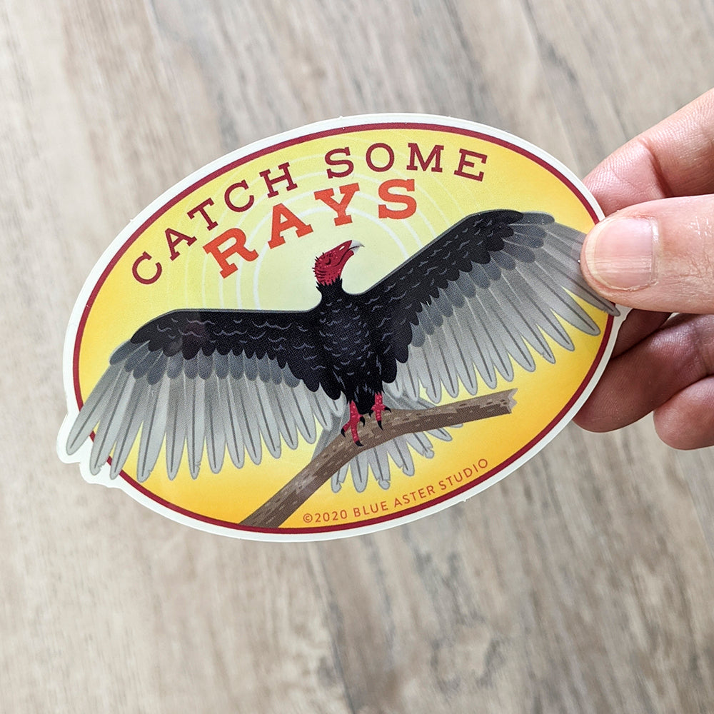 A cartoon drawing of a turkey vulture spreads its wings while perched on a limb. The sun shines brightly in the background. Text reads: Catch some rays.