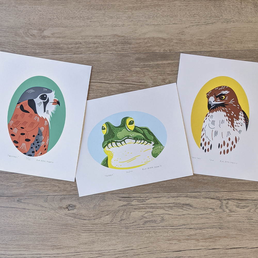 Three Blue Aster Studio wildlife portrait screen prints featuring a kestrel, frog, and red-tailed hawk.