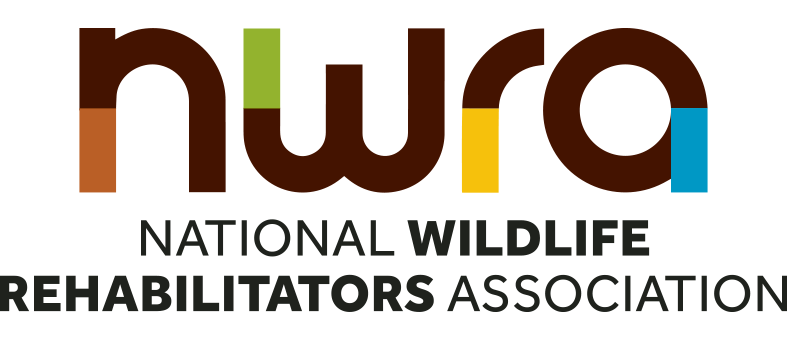 The National Wildlife Rehabilitators Association Symposium – Blue Aster ...