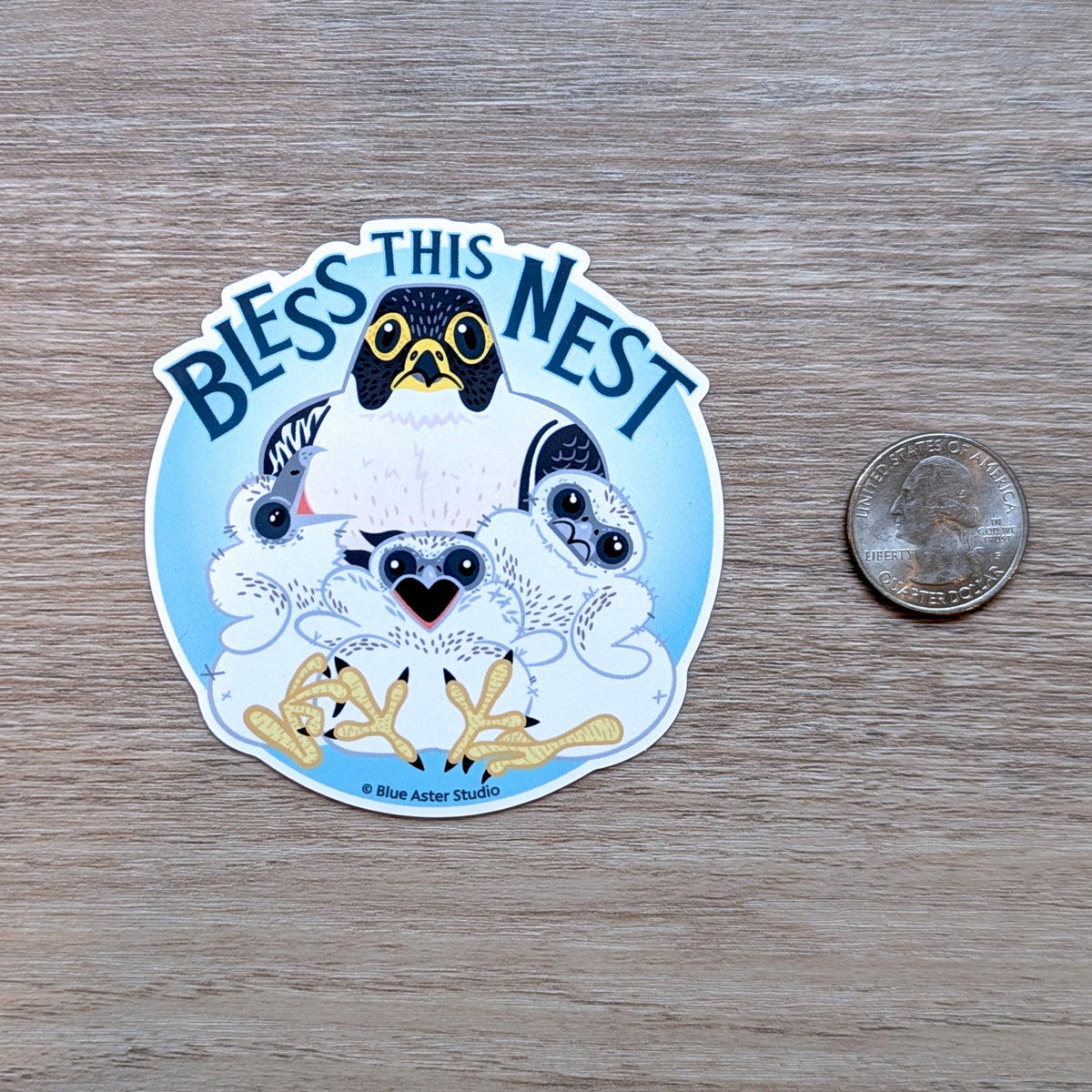 A round sticker depicting an illustrated parent peregrine falcon with three chicks with a USD quarter coin for scale