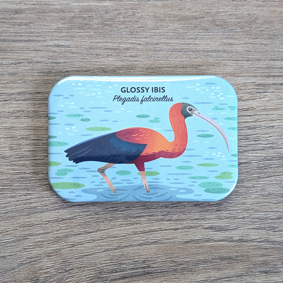 A rectangular magnet with rounded corners illustrated with a long-necked water bird with gradated gold and red on neck and back, iridescent teal and violet wings, a dull green-gray mask, and long, downward-curved bill.