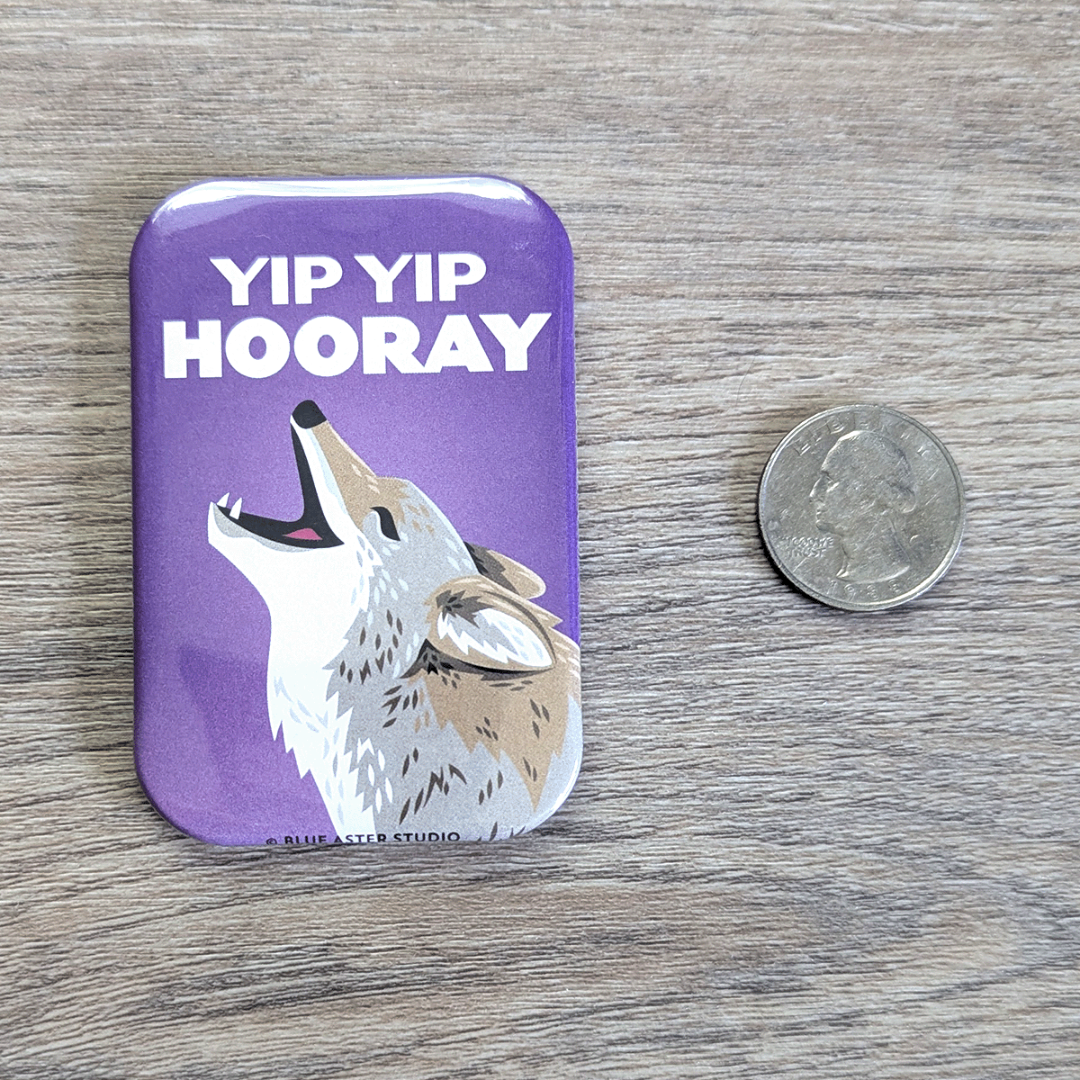 The coyote magnet pictured next to a USD quarter coin to show scale.