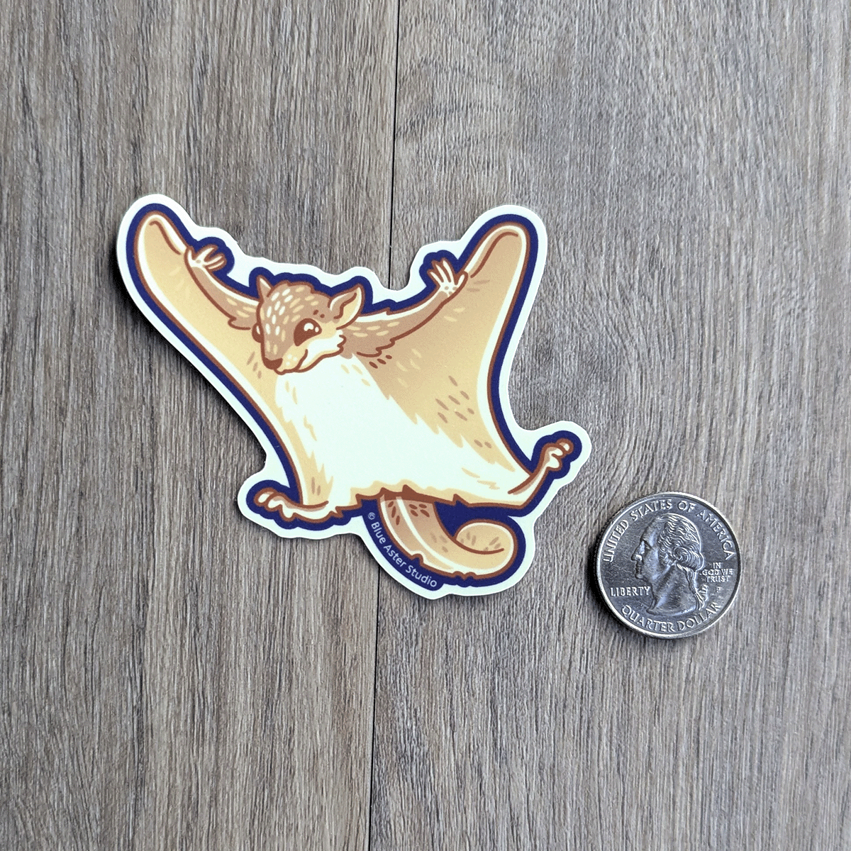The flying squirrel sticker with a USD quarter beside it to show scale.