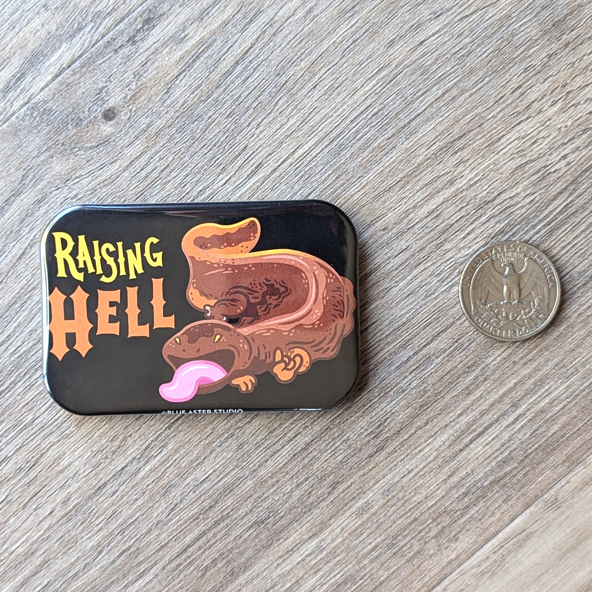 The hellbender refrigerator magnet with a USD quarter for scale.