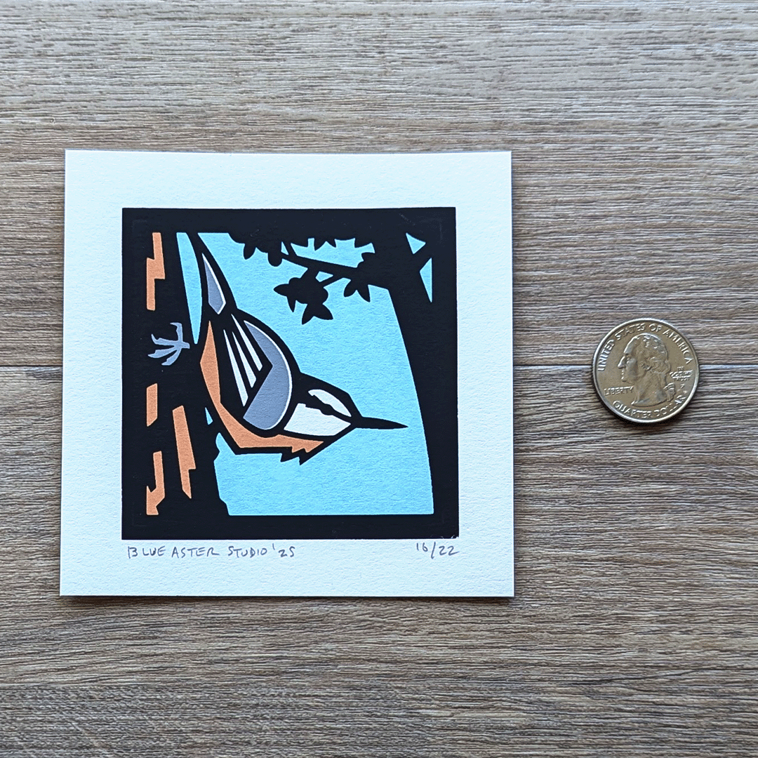 The mini nuthatch print sitting next to a USD quarter for scale.