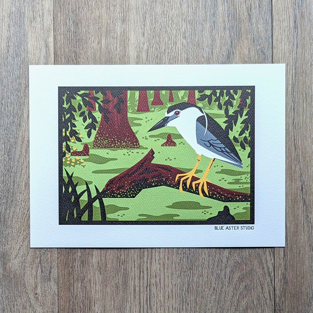 Black-crowned Night Heron Art Print