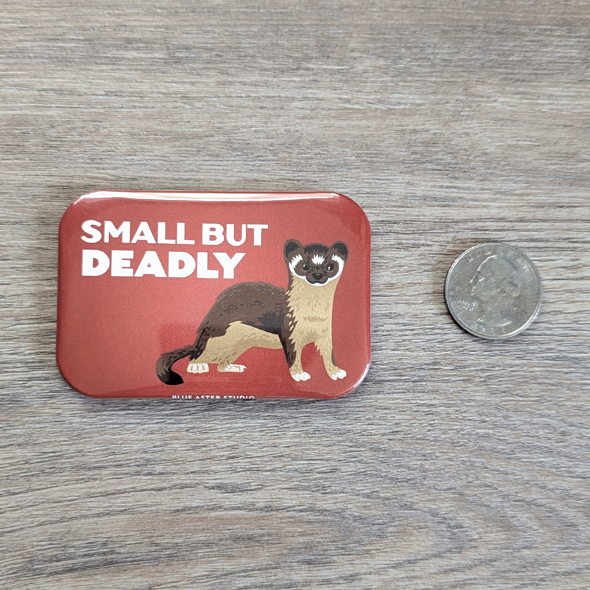 The weasel magnet next to a USD quarter coin to show scale.