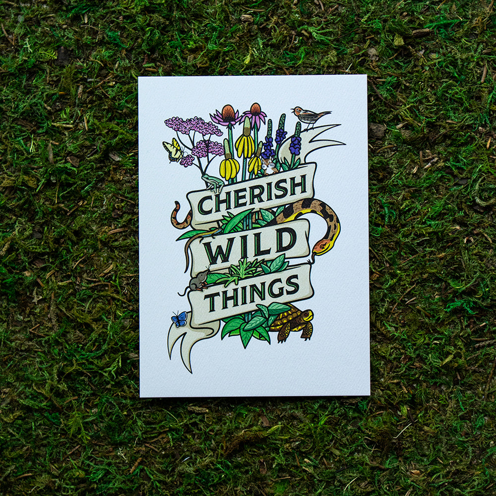 Raccoon Sticker — A Wild Thing's Art