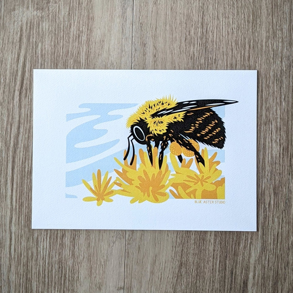 Aster Bumble Bee – sammsara-home