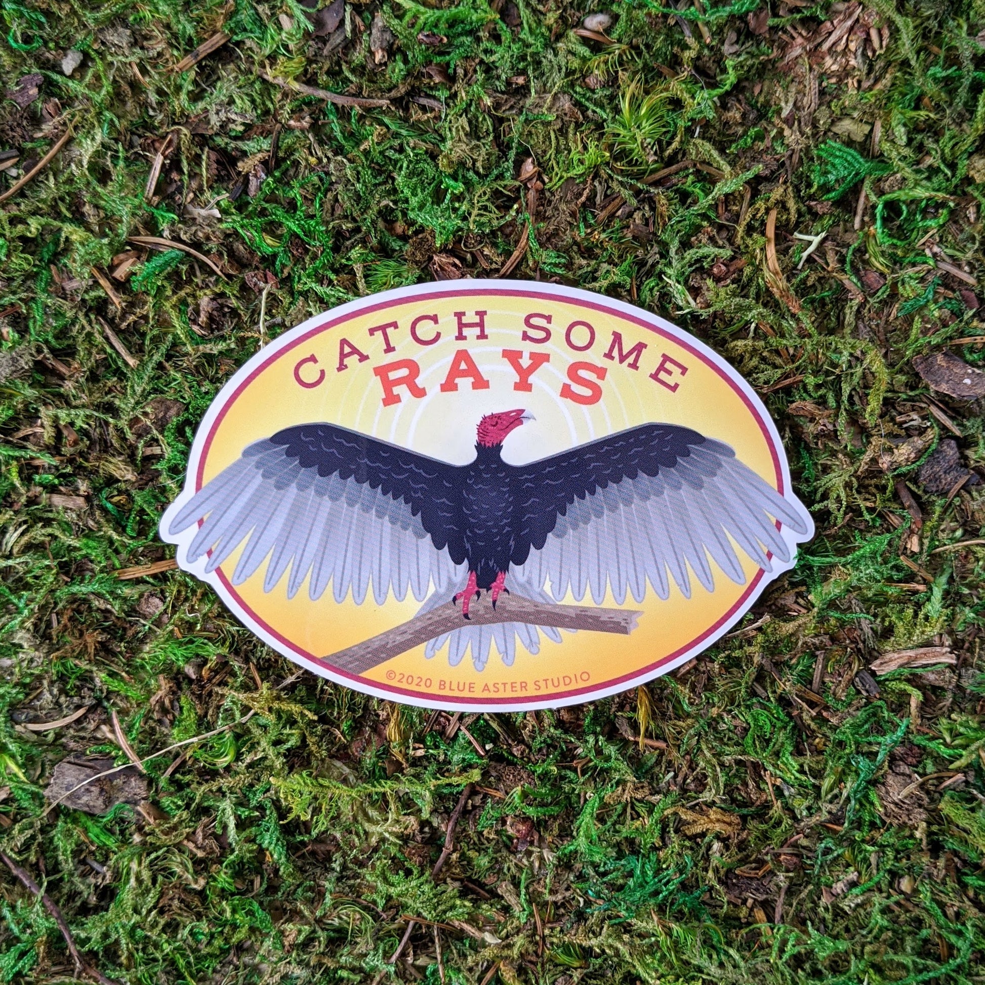An oval vinyl sticker of an illustration of a turkey vulture with the words "Catch Some Rays"