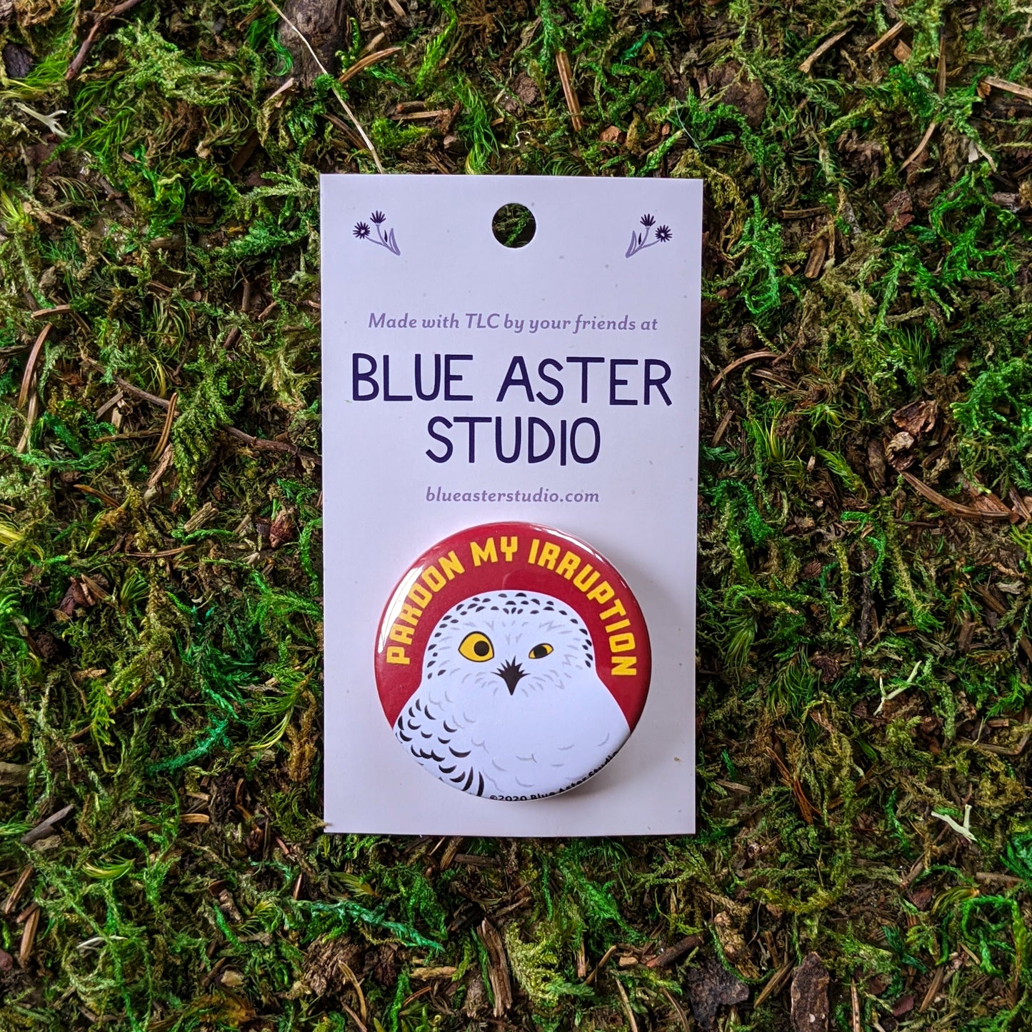 A 1.5" pinback button with an illustration of a snowy owl with a red background and the words "Pardon My Irruption" in yellow.