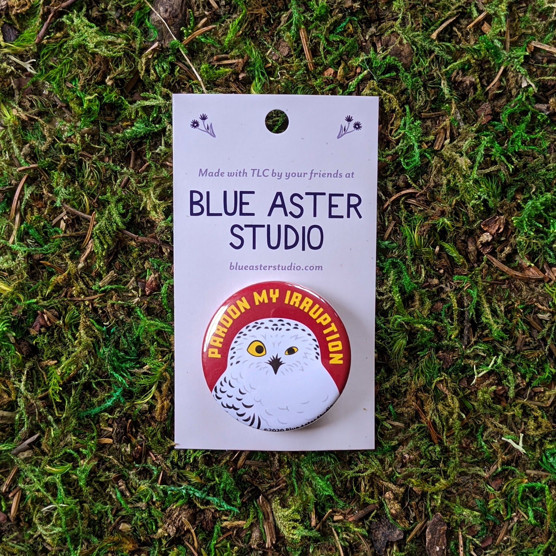 A 1.5" pinback button with an illustration of a snowy owl with a red background and the words "Pardon My Irruption" in yellow.