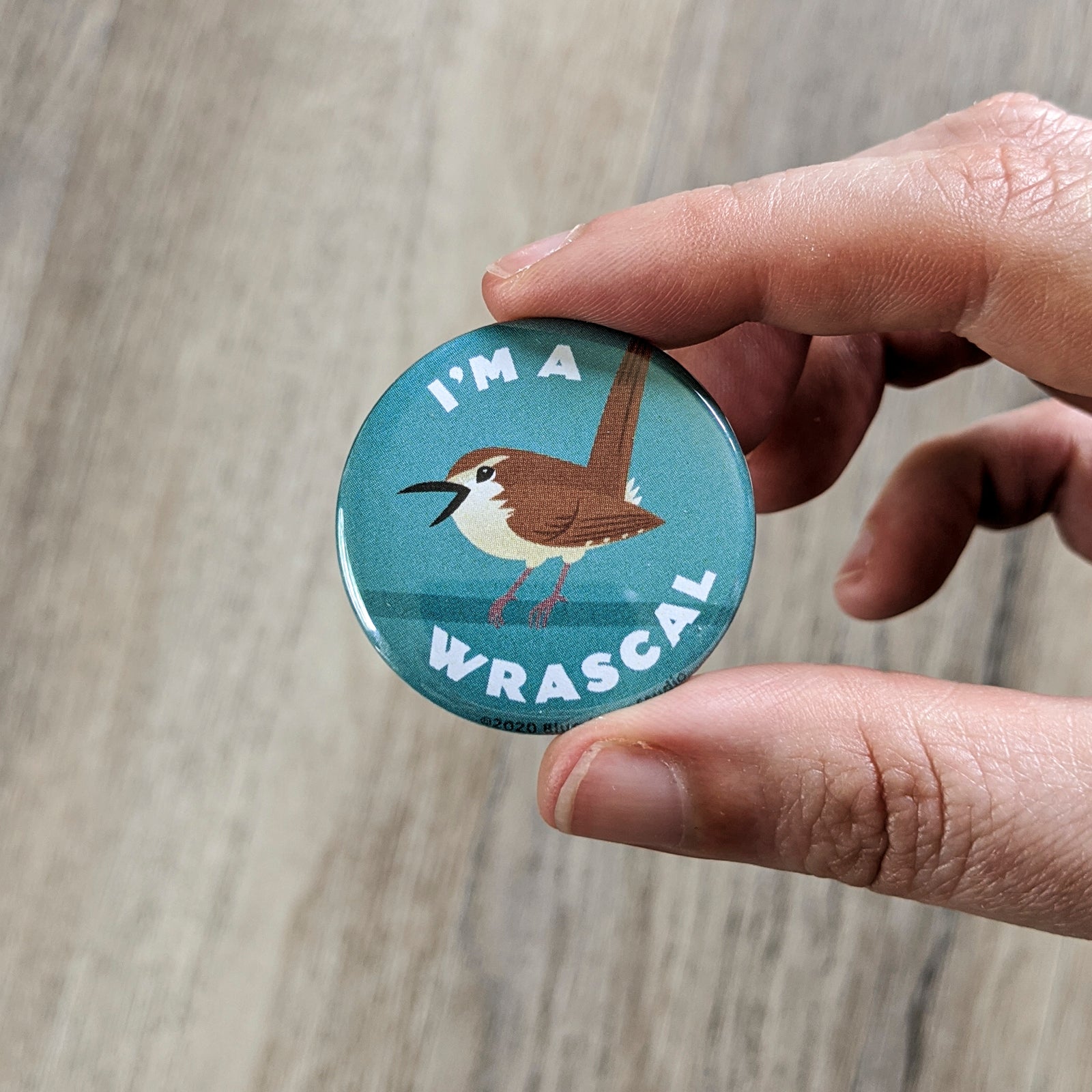 Hand holding the Wren I'm A Wrascal button to show close-up of the wren illustration.
