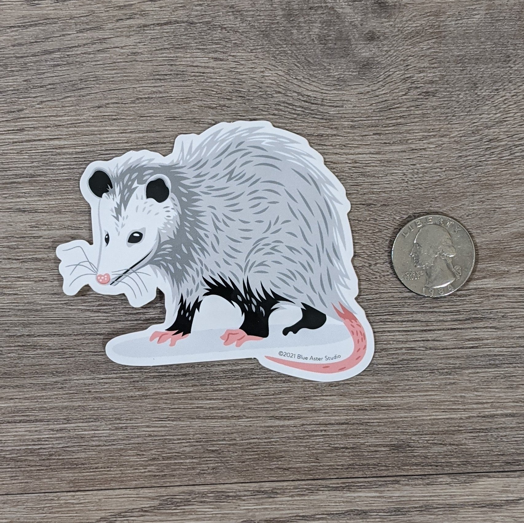 A vinyl sticker of an illustrated opossum next to a USD quarter for scale.