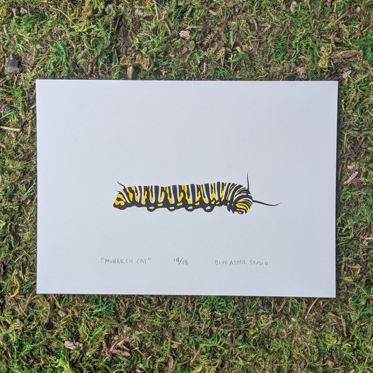 An original screen print of a chubby fifth instar monarch caterpillar.