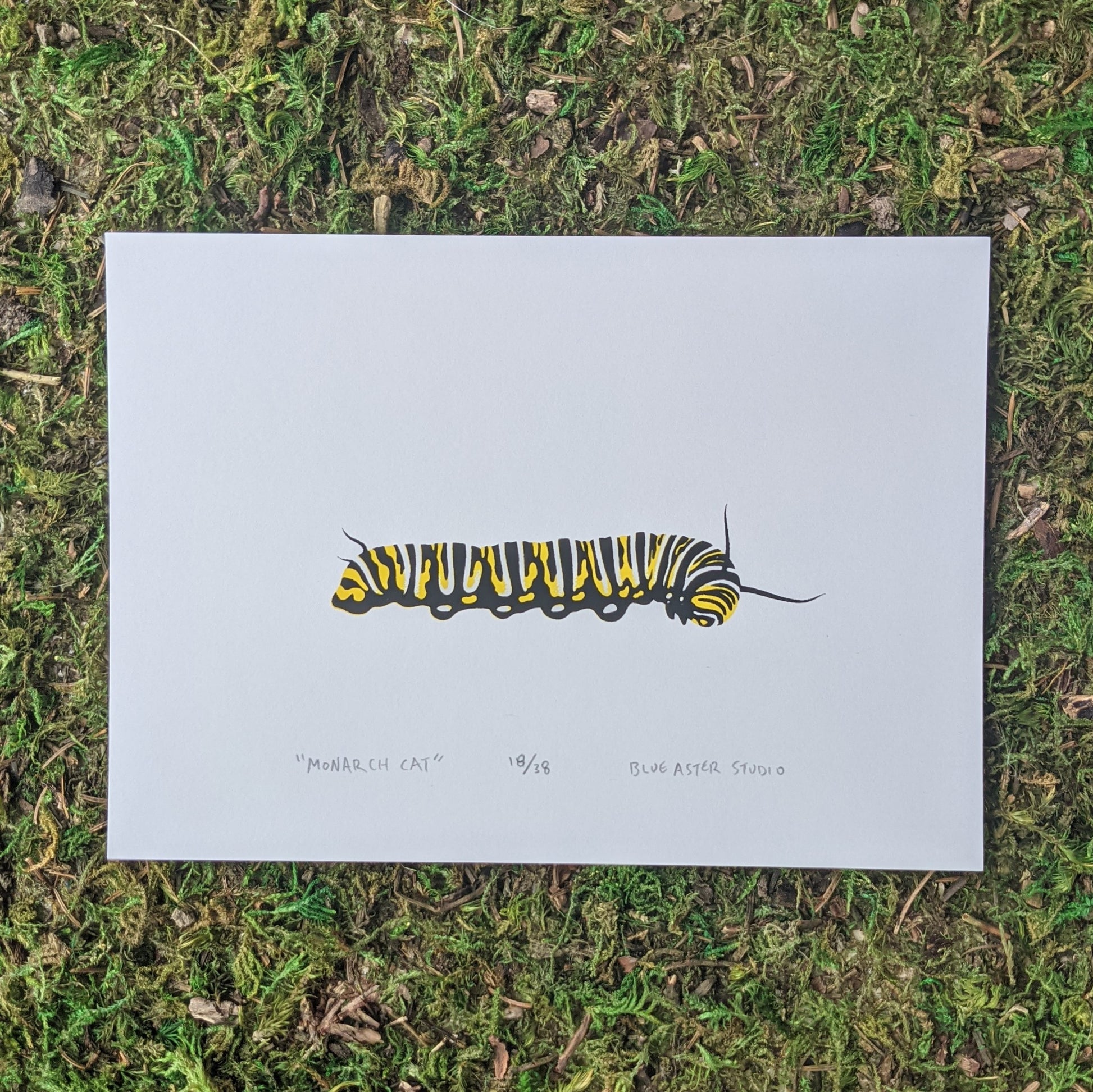 An original screen print of a chubby fifth instar monarch caterpillar.