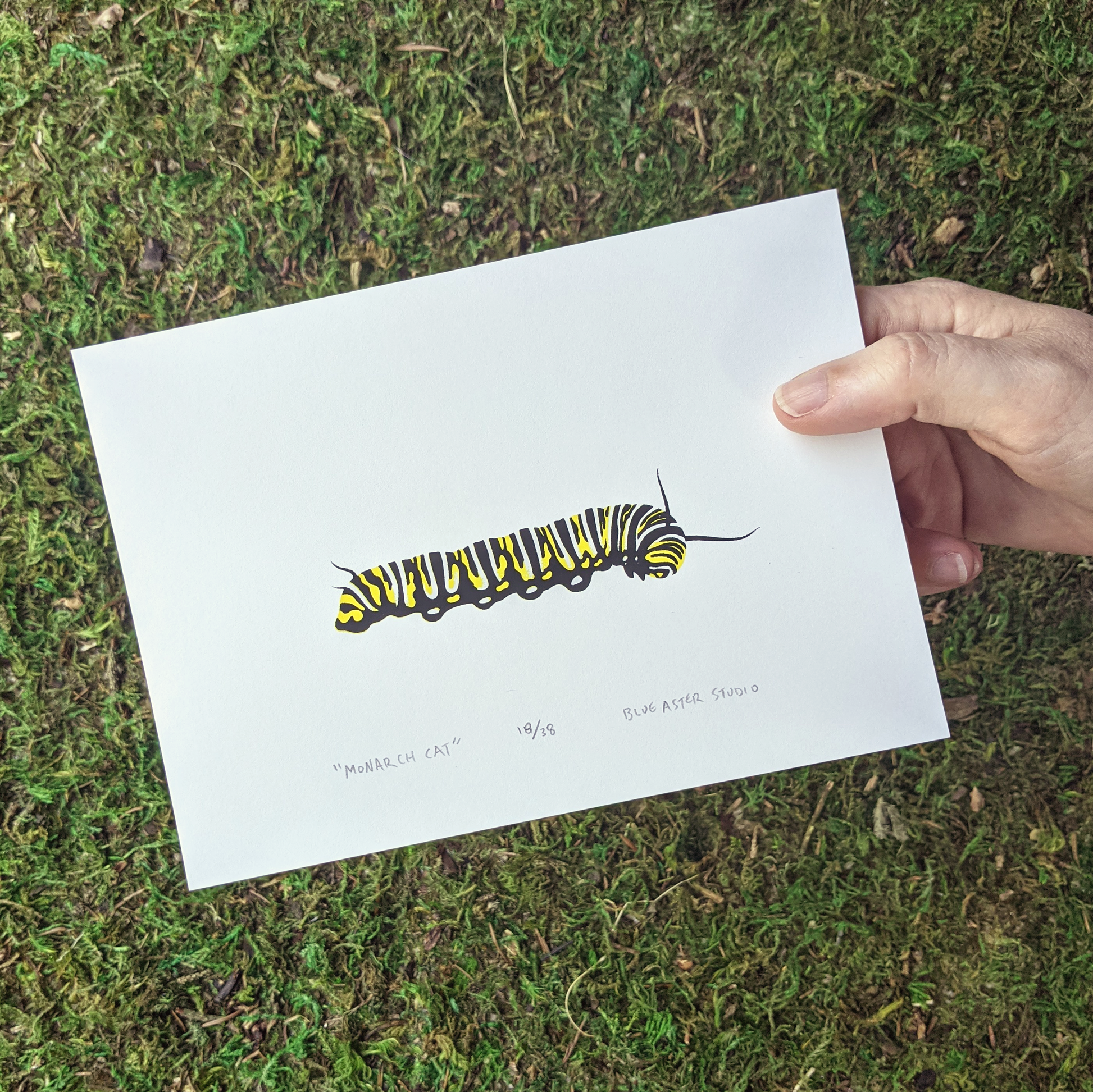 A hand holding a screen print of a monarch caterpillar to show scale.