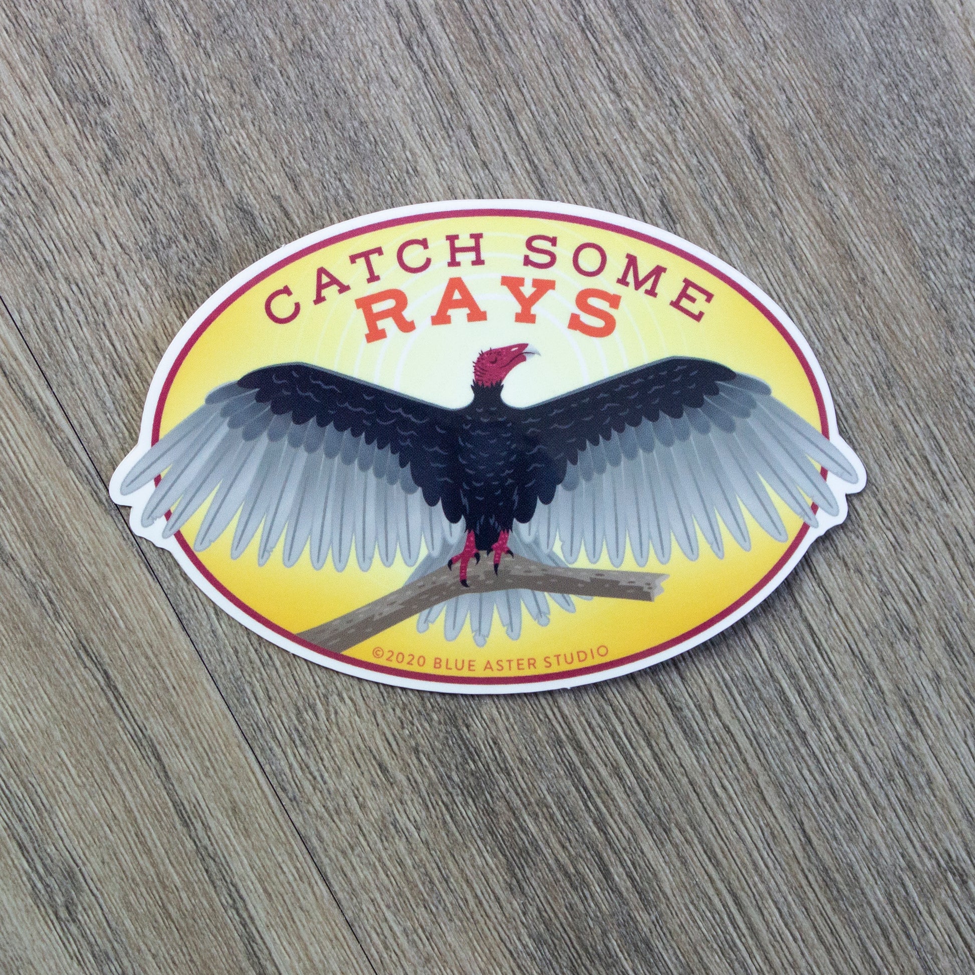 An oval vinyl sticker of an illustration of a turkey vulture with the words "Catch Some Rays"