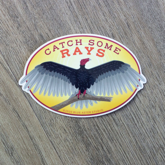 An oval vinyl sticker of an illustration of a turkey vulture with the words "Catch Some Rays"