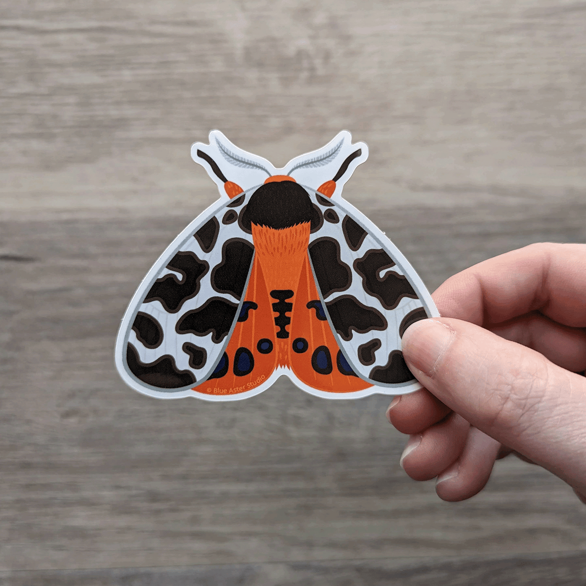 Painted Tiger Moth Sticker