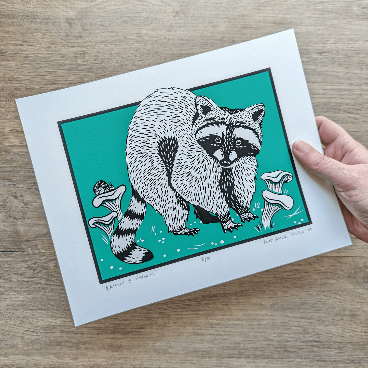 An illustration of a raccoon in a patch of chanterelle mushrooms with a teal background. This is an original Blue Aster Studio screen print that is signed and numbered.