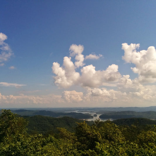 A horizon showing a high angle view of a forest with fluffy white clouds and blue sky.