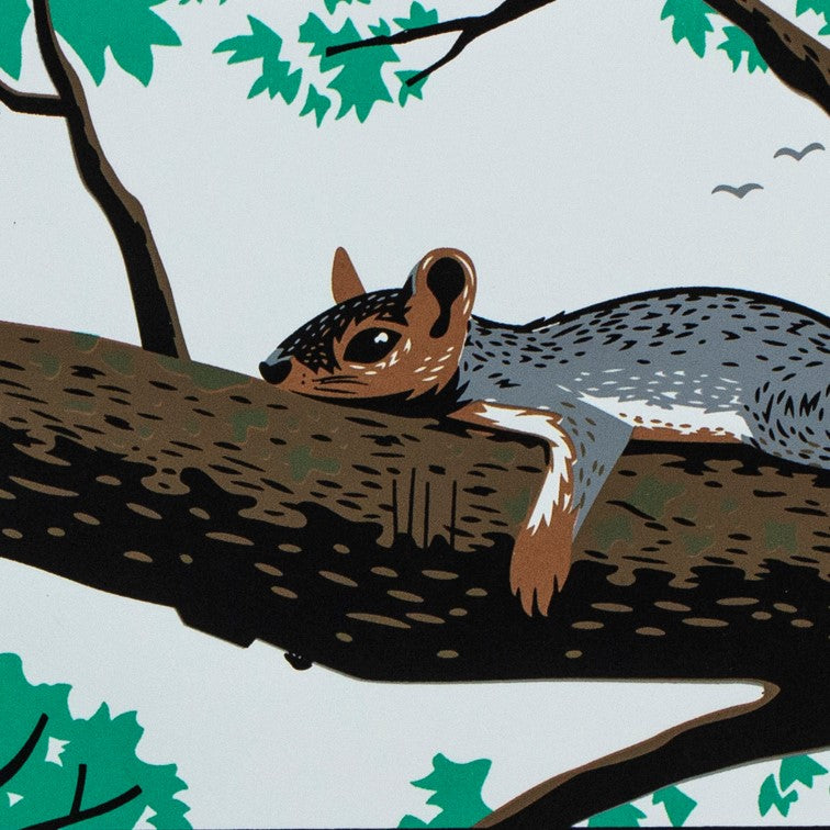 Close up of our screen print of a squirrel lounging on a tree branch.