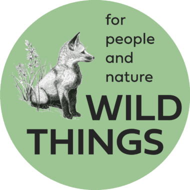 Blue Aster Studio at the Wild Things 2023 Conference