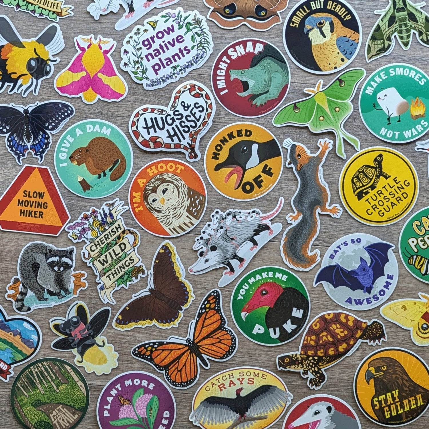 Nature stickers including a turtle sticker, monarch butterfly sticker, opossum sticker, butterfly stickers, owl sticker, squirrel sticker, bat sticker, milkweed sticker, monarch caterpillar sticker, luna moth sticker, snake sticker, vulture sticker.