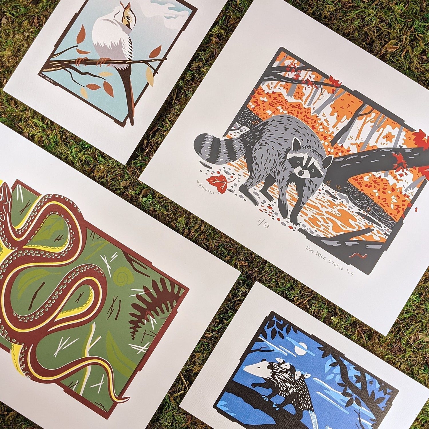 A collection so wildlife art prints and screen prints. There is a sparrow art print, a raccoon screen print, an opossum art print, and a garter snake screen print.