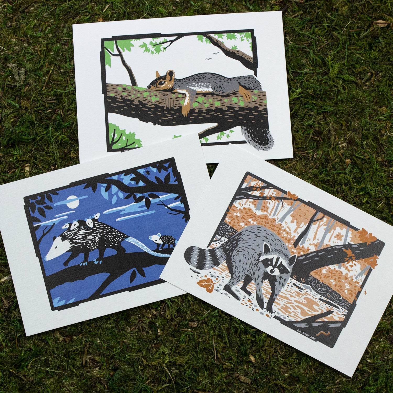 A collection of three wildlife art prints. There is a squirrel art print, an opossum art print, and a raccoon art print.