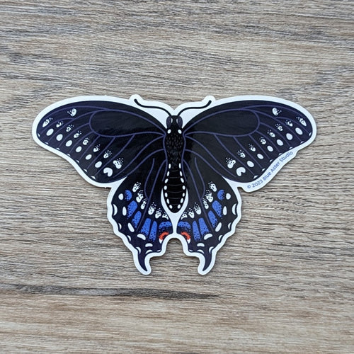 A black swallowtail buttefly vinyl sticker.