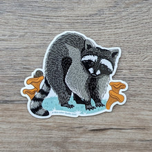 Load image into Gallery viewer, A vinyl sticker of an illustration of a raccoon surrounded by mushrooms.