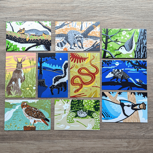 Ten 4 inch by six inch postcards featuring colorful illustrations of animals including a fox squirrel, raccoon, nuthatch, rabbit, skunk, garter snake, opossum, red-tailed hawk, box turtle, and blue jay.