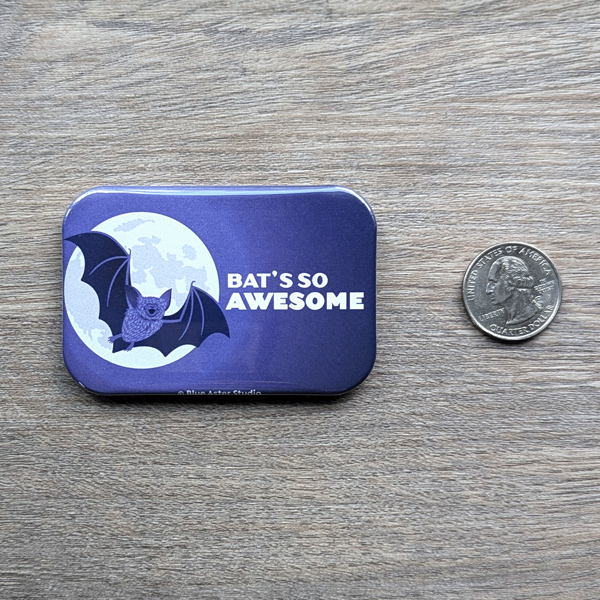 The bat magnet sitting next to a USD quarter for scale.