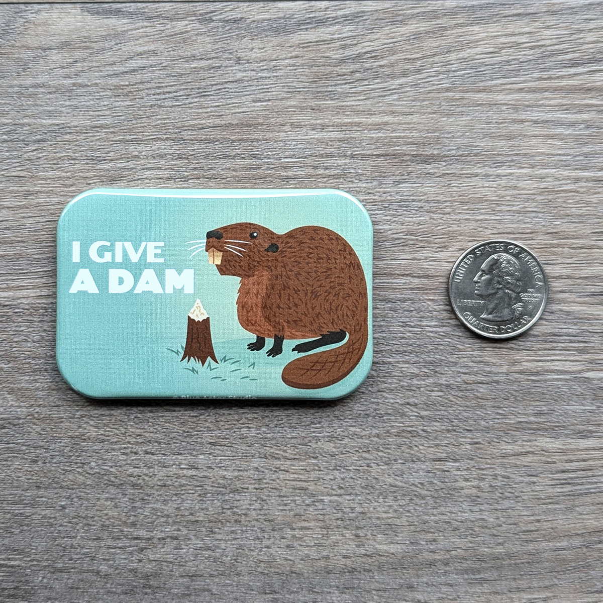 The beaver magnet sitting next to a USD quarter to show scale.