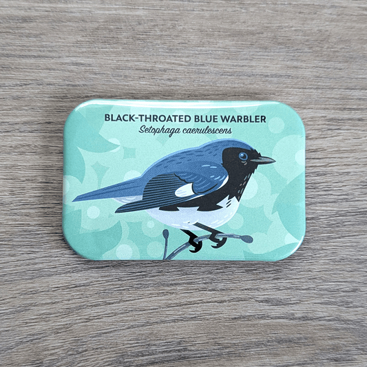 A rectangular magnet with rounded corners illustrated with a  blue, black and white bird with black face and throat.