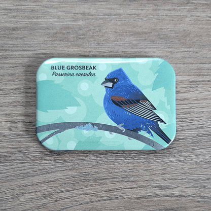 A rectangular magnet with rounded corners illustrated with a blue bird with a black mask and ruddy highlights on the black wings.