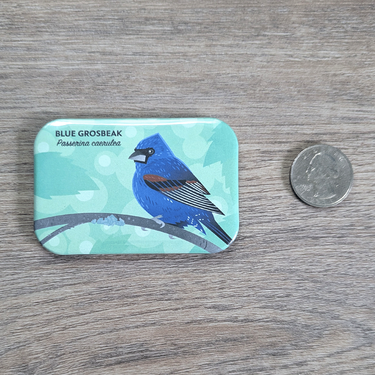 The blue grosbeak magnet next to a USD quarter for scale.