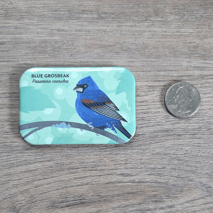 The blue grosbeak magnet next to a USD quarter for scale.
