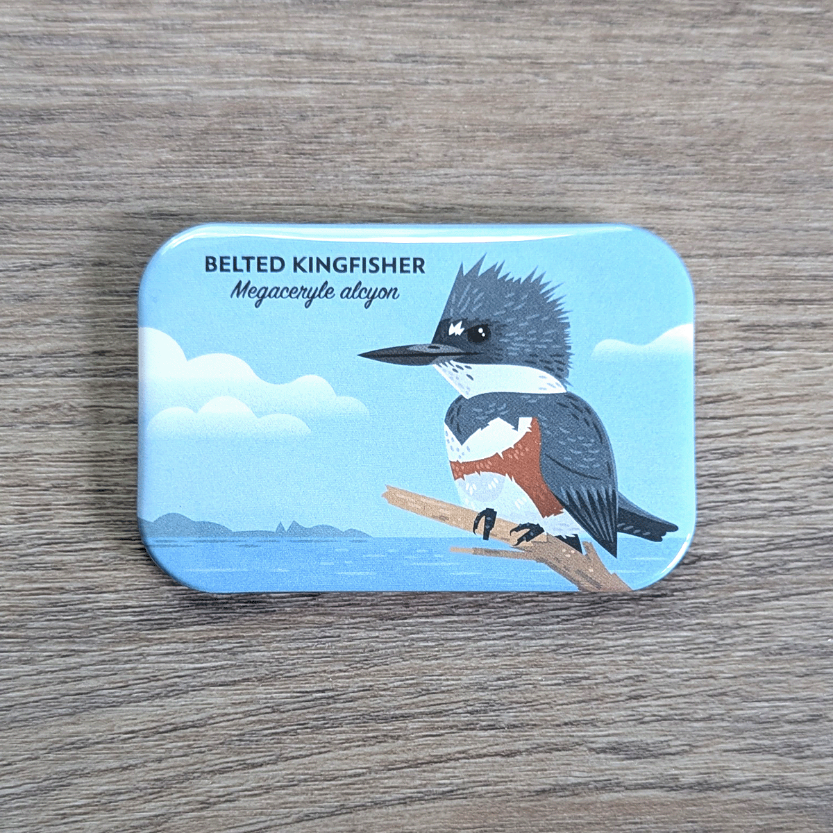 A rectangular magnet with rounded corners illustrated with a blue-gray and white bird with bold rusty belt of color on its chest