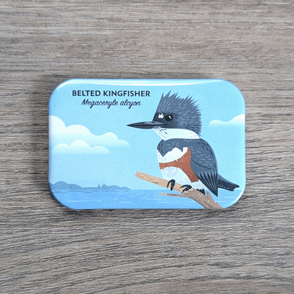 A rectangular magnet with rounded corners illustrated with a blue-gray and white bird with bold rusty belt of color on its chest