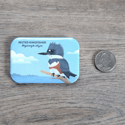 The belted kingfisher magnet with a USD quarter to show scale.