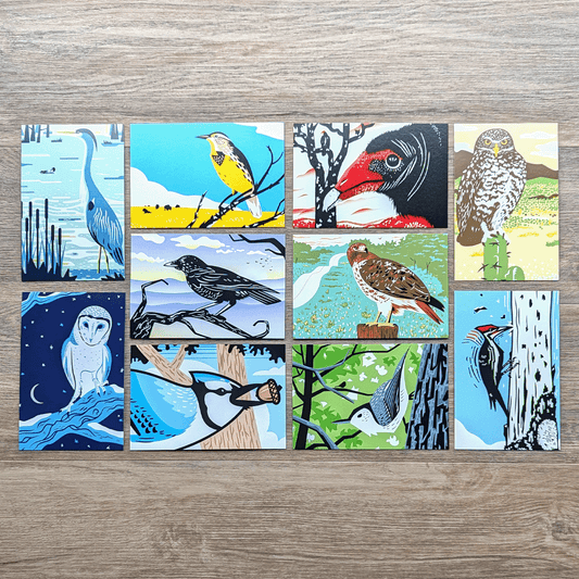 A collection of ten 4 inch by 6 inch postcards featuring colorful illustrations of birds including a great blue heron, meadowlark, turkey vulture, burrowing owl, barn owl, crow, blue jay, red-tailed hawk, nuthatch, and pileated woodpecker