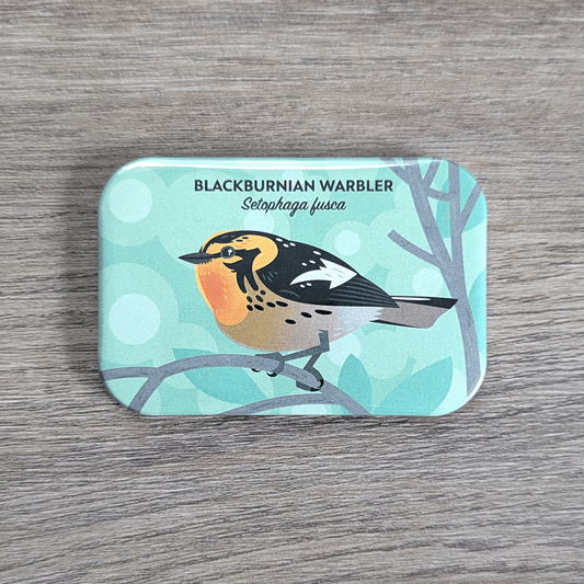 A rectangular magnet with rounded corners illustrated with a black and tan bird with bright yellow and orange face and throat perching on a branch.