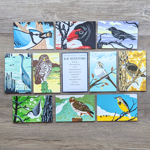 A set of ten illustrated bird postcards featuring the following designs: Blue Jay, Burrowing Owl, Crow, Great Blue Heron, Great Horned Owl, Meadowlark, Nuthatch, Red-tailed Hawk, Sparrow, Turkey Vulture