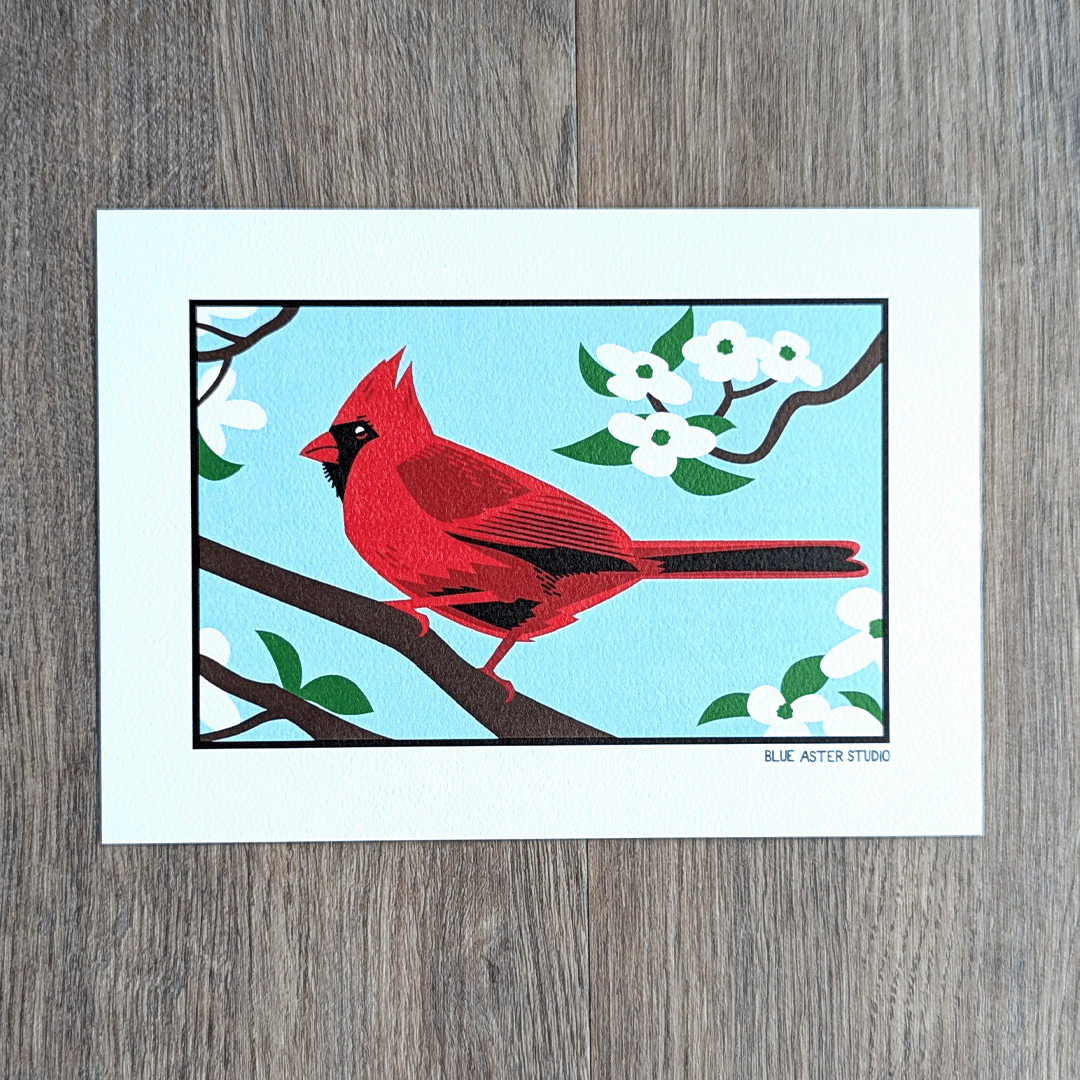 An illustration of a red male cardinal perched on a branch with  white dogwood flowers around it