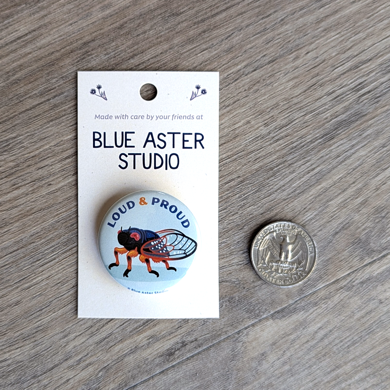 The cicada button with a USD quarter for scale.