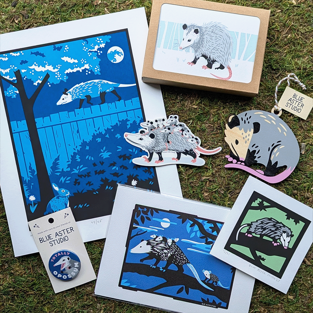 A selection of gift items and art featuring illustrations of the Virginia Opossum, Didelphis virginiana. It is North America's only native marsupial.