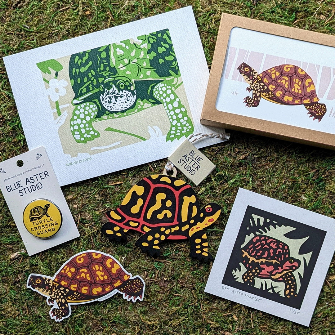 A collection of turtle art and gifts.